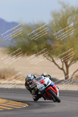 media/Nov-05-2022-SoCal Trackdays (Sat) [[f8d9b725ab]]/Turn 4 Tree of Life (125pm)/